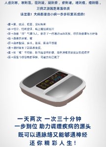 Bio-Resonance Device 生物共振仪